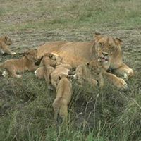 Alfred Parker Photo 10