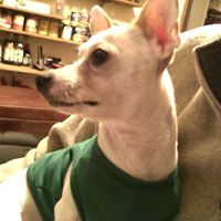 Darlene Crow Photo 24