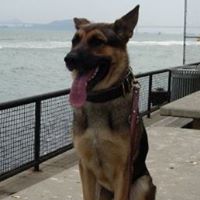 Chris Shepard Photo 24 Chris Shepard Photo 24