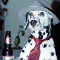 Eugene Adams Photo 9