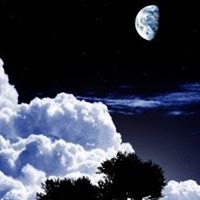 Kelly Wagner Photo 39