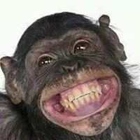 Debra Graber Photo 6