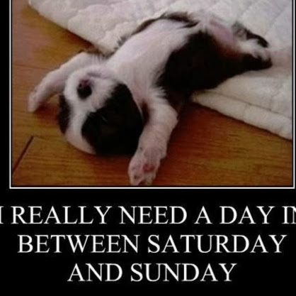 Sean Warren Photo 34