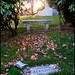 Thomas Mahler Photo 14