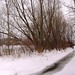 Steve Banach Photo 14