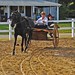 Carol Hanson Photo 9