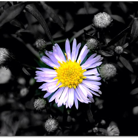 Jodie Russell Photo 25