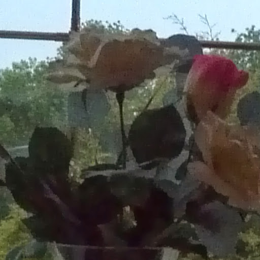 Catherine Hough Photo 16 Catherine Hough Photo 16