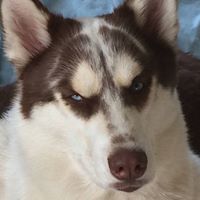 Leslie Hughes Photo 5