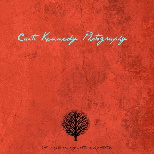 Barbara Kennedy Photo 14