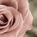 Andres Lozano Photo 27