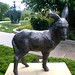 Benjamin Park Photo 42