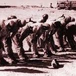 Mohamed Abdallah Photo 30 Mohamed Abdallah Photo 30