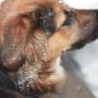 Sheryl Carpenter Photo 22