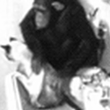 Raymond Clark Photo 9