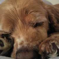 Christina Evers Photo 9