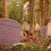 Ruth Stewart Photo 10