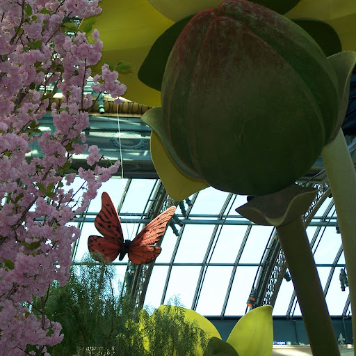 Nancy Henson Photo 39