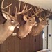 Jerry Freeland Photo 27