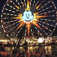 Carolyn Proctor Photo 15