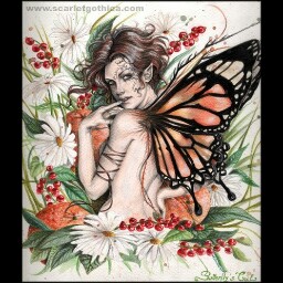 Michele Waters Photo 17