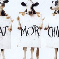 Juan Esquivel Photo 4 Juan Esquivel Photo 4