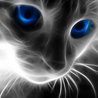 Krystle Reynolds Photo 6