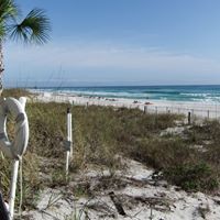 Stephen Schafer Photo 20