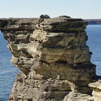 Dale Mitchell Photo 20