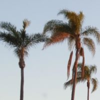 Michelle Olson Photo 36