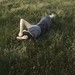 Sharon Lay Photo 37
