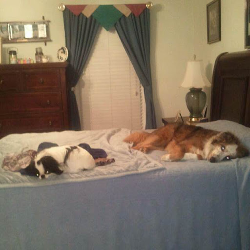 Teresa Maddox Photo 11