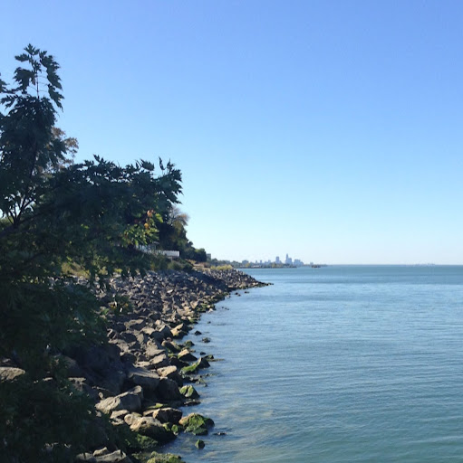 Patrick Scott Photo 52 Patrick Scott Photo 52