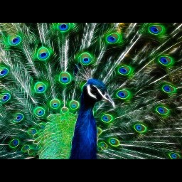 Adrienne Roberts Photo 25