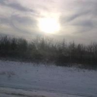 Timothy Cook Photo 23