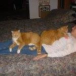 Sandra Mccrary Photo 16