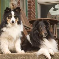 Lou Robinson Photo 15