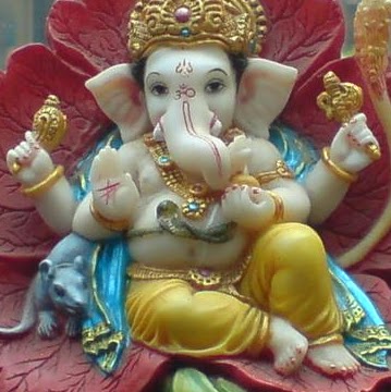 Darshana Patel Photo 30