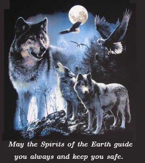 Amanda Reeves Photo 31