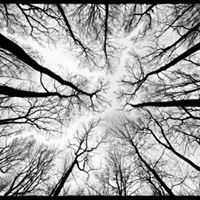 Stephanie Rossier Photo 2