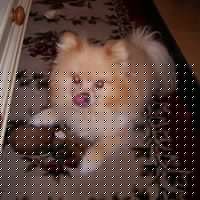 Martha Travis Photo 14