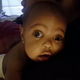 William Vaughn Photo 12 William Vaughn Photo 12