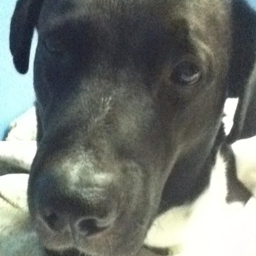 Corey Jenkins Photo 29