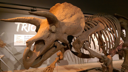 Jean Turner Photo 18