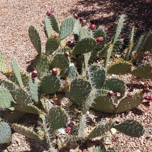 Sam Daugherty Photo 4