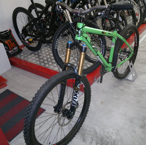 Thomas March Photo 33