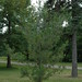Nancy Whiting Photo 31