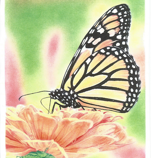 Julie Tackett Photo 15