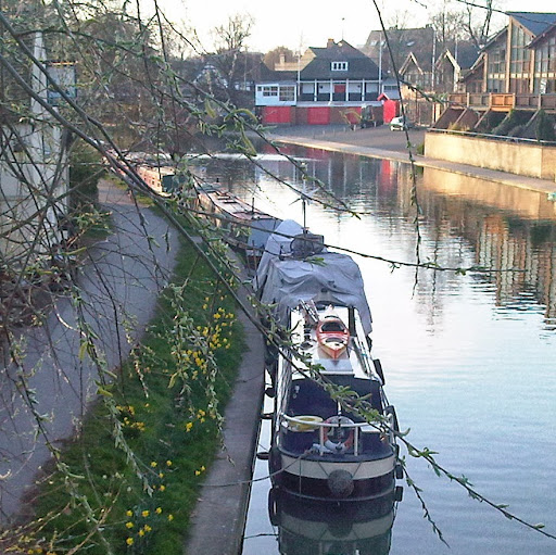 Teresa Davidson Photo 31