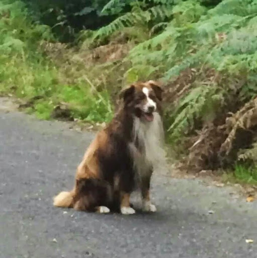 Maria Weber Photo 32 Maria Weber Photo 32